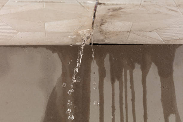 Professional Commercial Water Damage Restoration technician working in Ladonia, TX